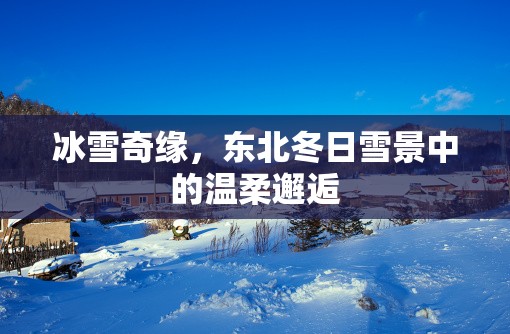 冰雪奇緣，東北冬日雪景中的溫柔邂逅