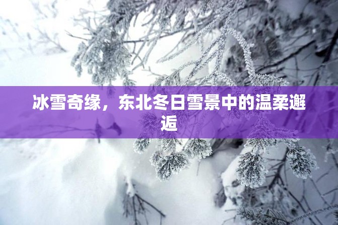 冰雪奇緣，東北冬日雪景中的溫柔邂逅