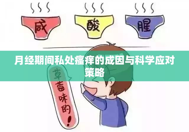 月經期間私處瘙癢的成因與科學應對策略