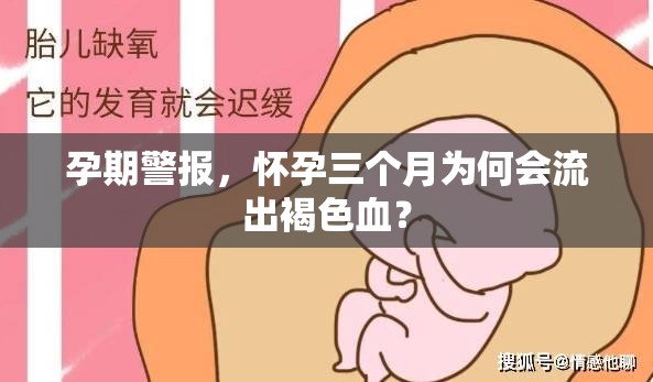 孕期警報，懷孕三個月為何會流出褐色血？