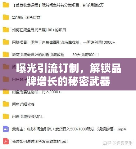 曝光引流訂制，解鎖品牌增長的秘密武器