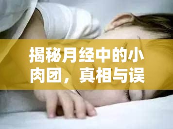 揭秘月經(jīng)中的小肉團，真相與誤解的較量