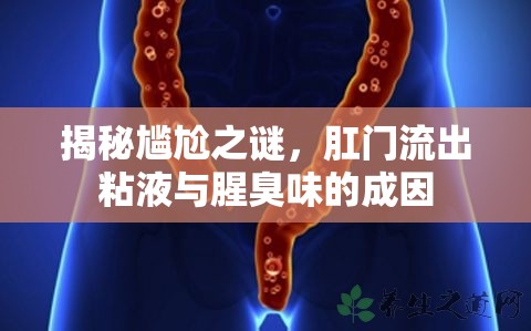 揭秘尷尬之謎，肛門流出粘液與腥臭味的成因