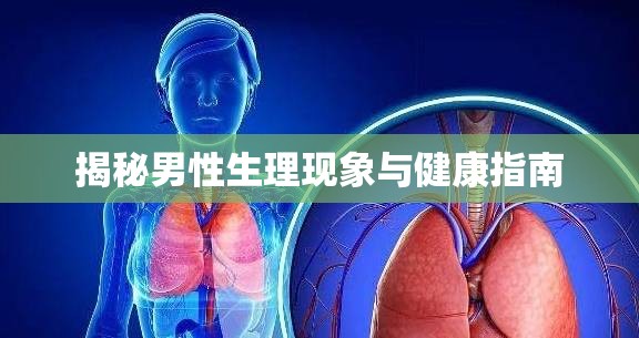 揭秘男性生理現(xiàn)象與健康指南