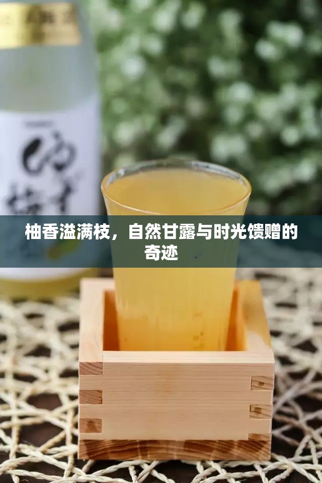 柚香溢滿(mǎn)枝，自然甘露與時(shí)光饋贈(zèng)的奇跡