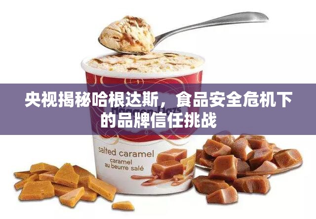 央視揭秘哈根達(dá)斯，食品安全危機(jī)下的品牌信任挑戰(zhàn)