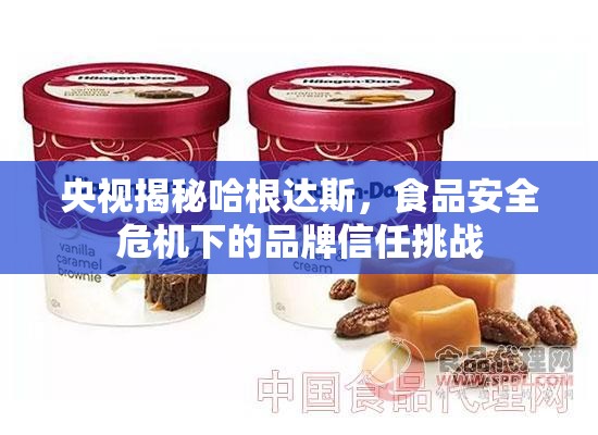 央視揭秘哈根達(dá)斯，食品安全危機(jī)下的品牌信任挑戰(zhàn)