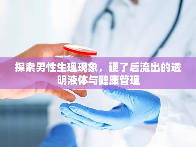 探索男性生理現(xiàn)象，硬了后流出的透明液體與健康管理