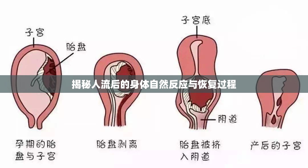 揭秘人流后的身體自然反應(yīng)與恢復(fù)過(guò)程