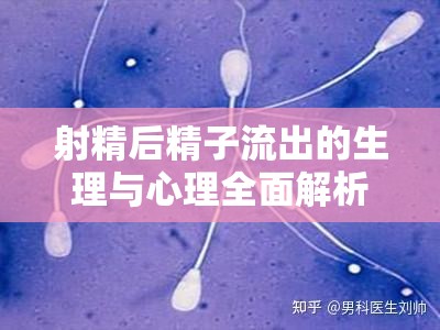 射精后精子流出的生理與心理全面解析