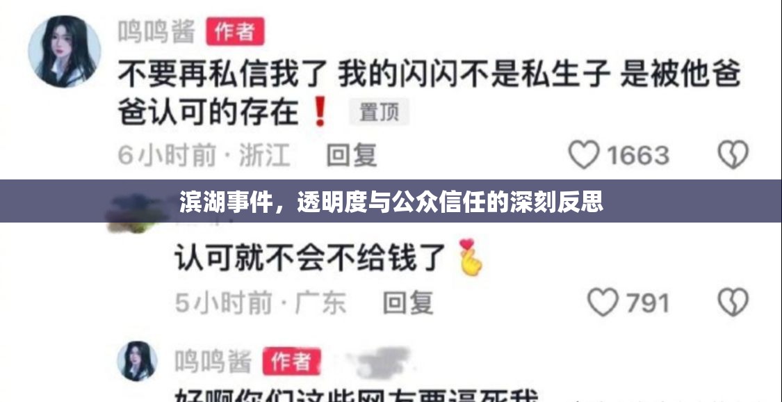 濱湖事件，透明度與公眾信任的深刻反思