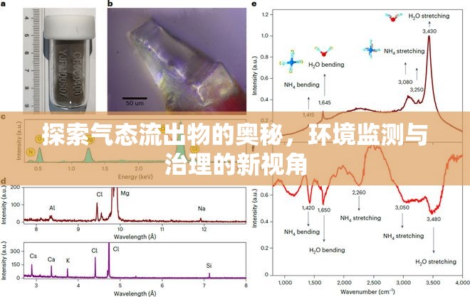 探索氣態(tài)流出物的奧秘，環(huán)境監(jiān)測與治理的新視角