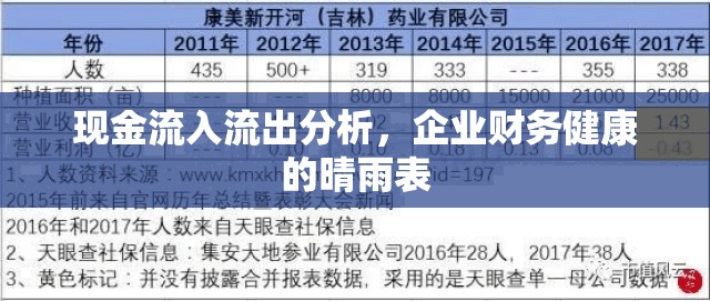 現(xiàn)金流入流出分析，企業(yè)財務健康的晴雨表