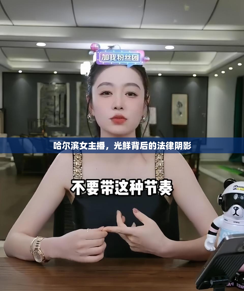 哈爾濱女主播，光鮮背后的法律陰影