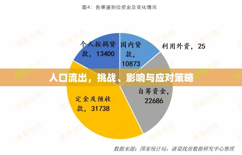 人口流出，挑戰(zhàn)、影響與應(yīng)對策略