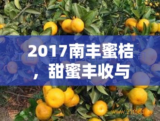 2017南豐蜜桔，甜蜜豐收與創(chuàng)新未來的完美結合