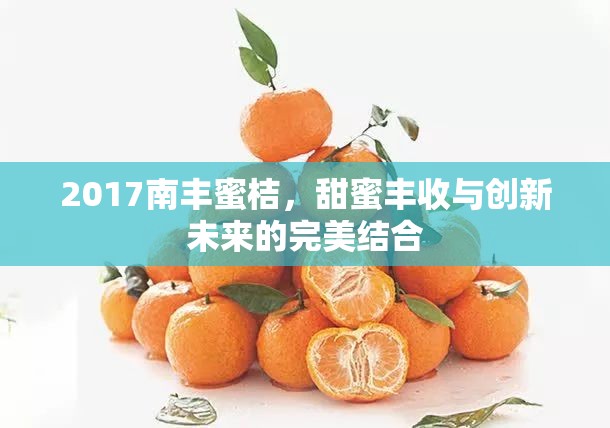 2017南豐蜜桔，甜蜜豐收與創(chuàng)新未來的完美結(jié)合