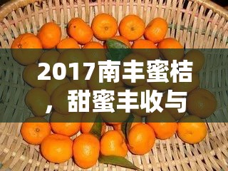 2017南豐蜜桔，甜蜜豐收與創(chuàng)新未來的完美結(jié)合