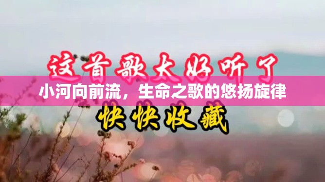 小河向前流，生命之歌的悠揚(yáng)旋律