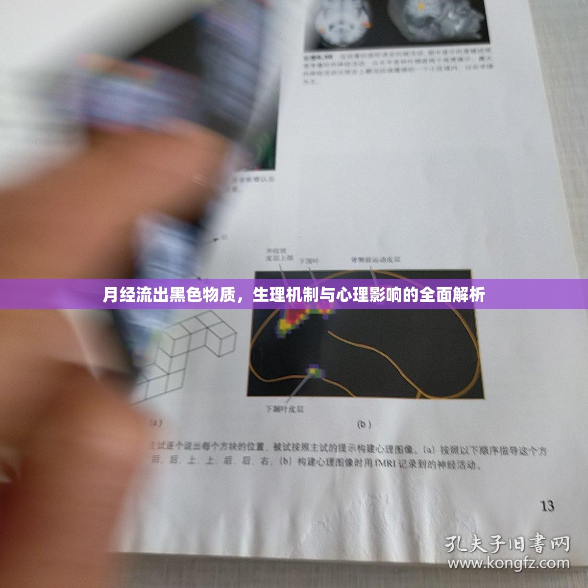 月經流出黑色物質，生理機制與心理影響的全面解析