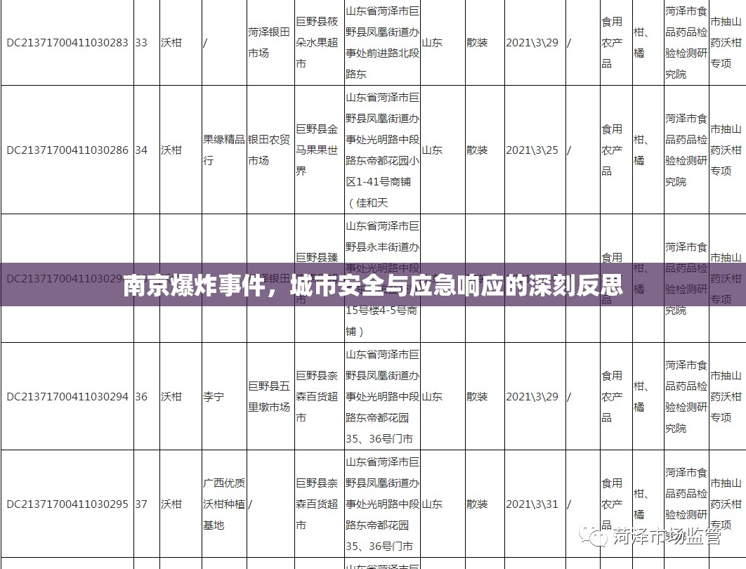 南京爆炸事件，城市安全與應急響應的深刻反思