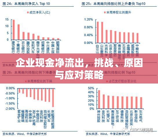 企業(yè)現(xiàn)金凈流出，挑戰(zhàn)、原因與應(yīng)對策略