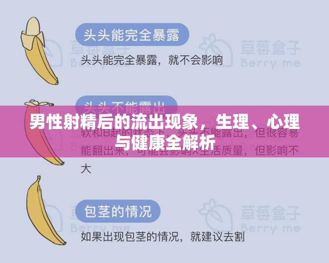 男性射精后的流出現(xiàn)象，生理、心理與健康全解析