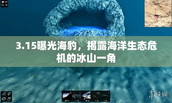 3.15曝光海豹，揭露海洋生態(tài)危機的冰山一角