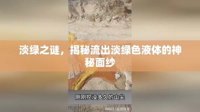 淡綠之謎，揭秘流出淡綠色液體的神秘面紗