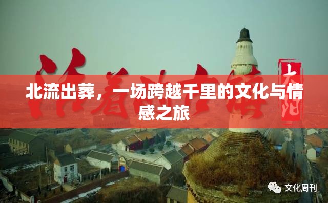 北流出葬，一場(chǎng)跨越千里的文化與情感之旅