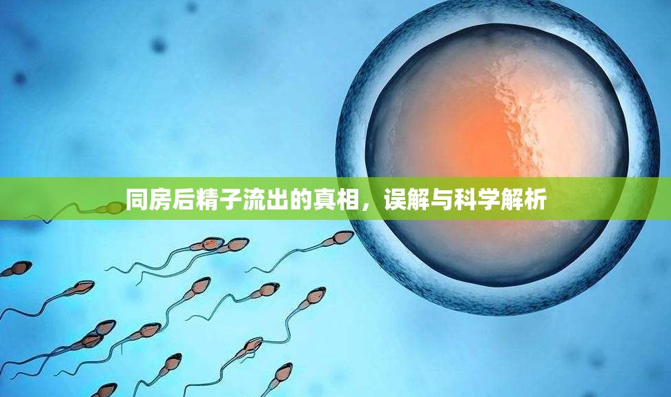 同房后精子流出的真相，誤解與科學解析