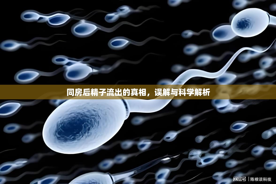 同房后精子流出的真相，誤解與科學(xué)解析