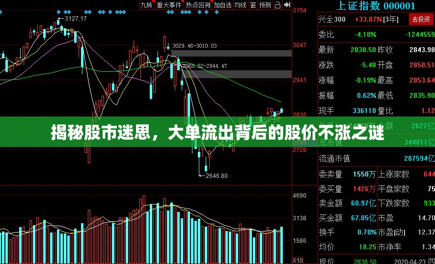 揭秘股市迷思，大單流出背后的股價不漲之謎