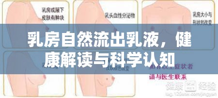 乳房自然流出乳液，健康解讀與科學認知