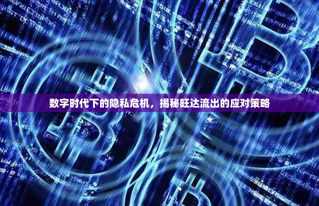 數字時代下的隱私危機，揭秘旺達流出的應對策略