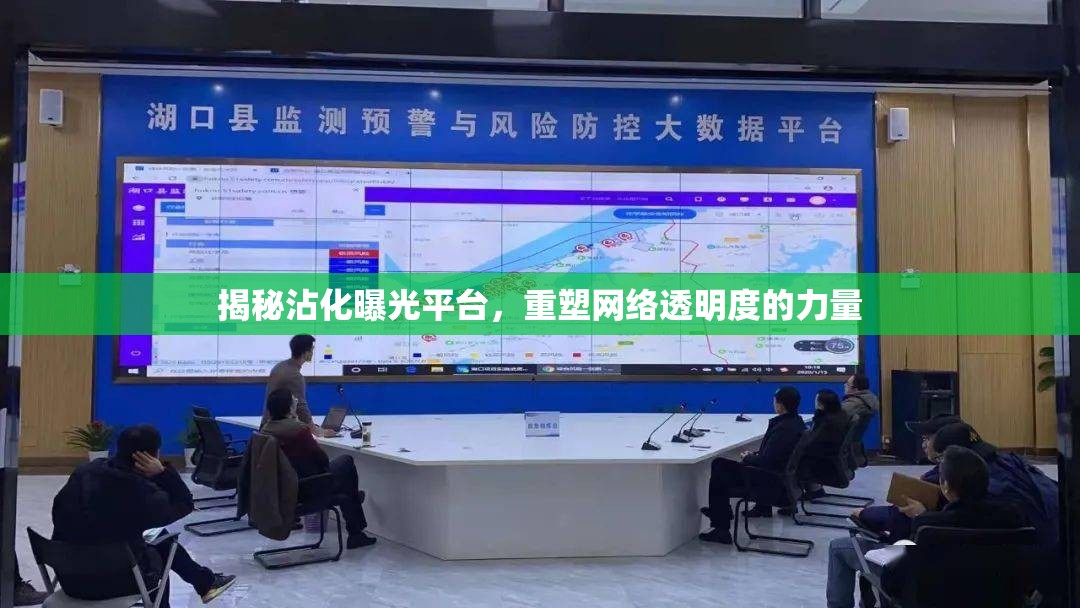 揭秘沾化曝光平臺，重塑網(wǎng)絡(luò)透明度的力量