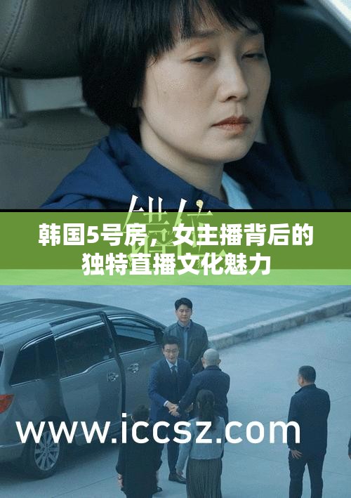 韓國5號房，女主播背后的獨(dú)特直播文化魅力