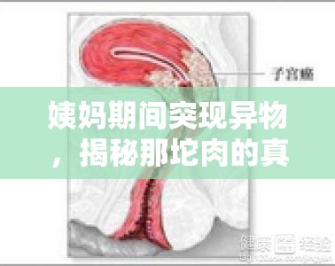 姨媽期間突現(xiàn)異物，揭秘那坨肉的真實(shí)身份與科學(xué)應(yīng)對(duì)之策