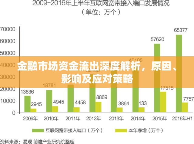 金融市場(chǎng)資金流出深度解析，原因、影響及應(yīng)對(duì)策略