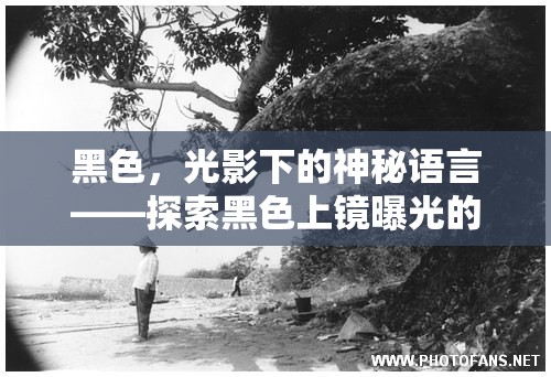 黑色，光影下的神秘語(yǔ)言——探索黑色上鏡曝光的藝術(shù)魅力