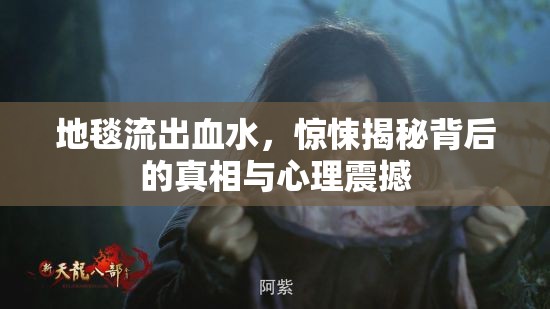 地毯流出血水，驚悚揭秘背后的真相與心理震撼