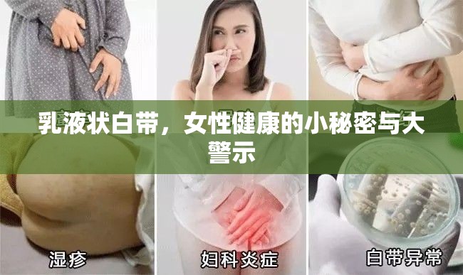 乳液狀白帶，女性健康的小秘密與大警示