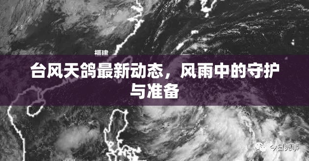 臺風(fēng)天鴿最新動態(tài)，風(fēng)雨中的守護與準備