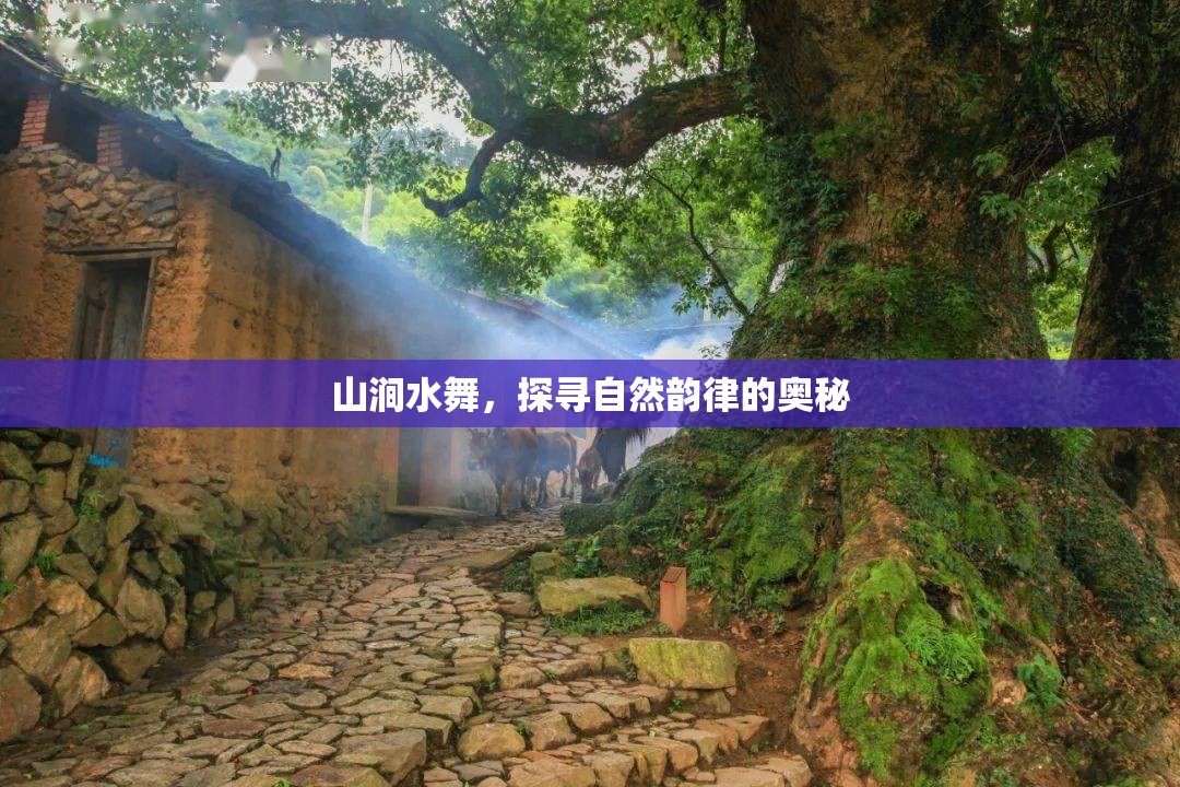 山澗水舞，探尋自然韻律的奧秘