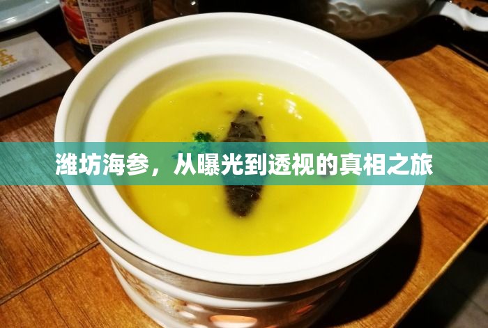 濰坊海參，從曝光到透視的真相之旅