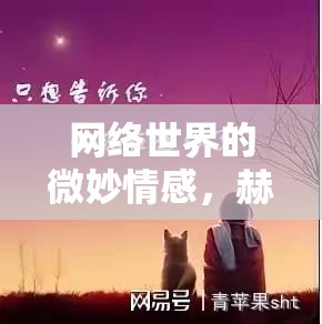 網(wǎng)絡世界的微妙情感，赫赫的秘密與女主播的星光