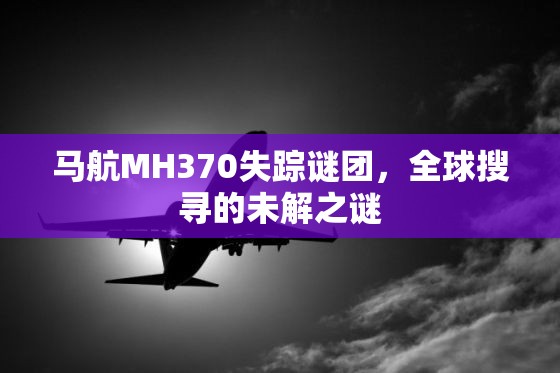 馬航MH370失蹤謎團，全球搜尋的未解之謎