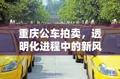 重慶公車拍賣，透明化進(jìn)程中的新風(fēng)尚與公眾期待