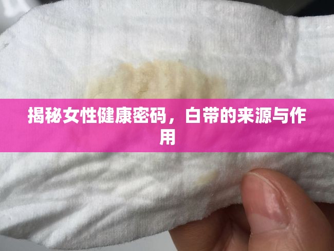 揭秘女性健康密碼，白帶的來(lái)源與作用