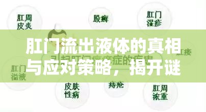 肛門流出液體的真相與應(yīng)對策略，揭開謎團